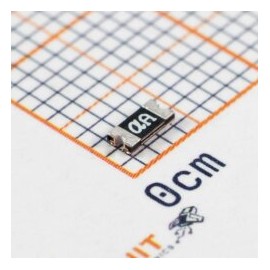 NSMD025-30V Fusible Reseteable 30V 500mA SMD 1206