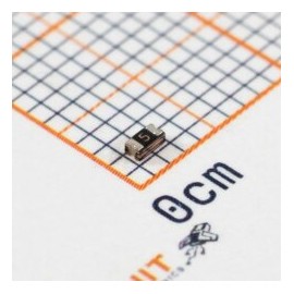 SMD0603-050 Fusible Reseteable 6V 1A SMD 0603