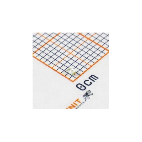 NCD0603R1 LED Rojo SMD 0603